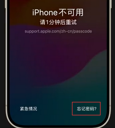 嘉定苹果手机密码维修分享iPhone忘记了刚设置的密码 