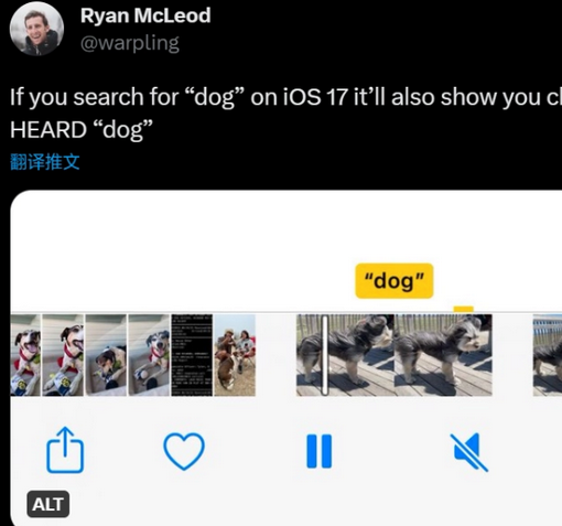 嘉定apple维修店分享通过关键字搜索iPhone视频内声音 