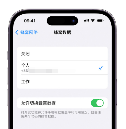 嘉定苹果维修服务分享如何在iPhone上使用双卡 