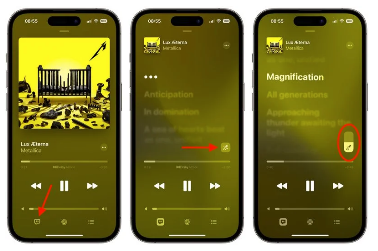 嘉定苹果服务网点分享iOS 16.2 全新功能：在 iPhone 或 iPad 上使用 Apple Music 唱歌 