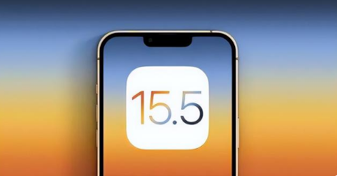 嘉定苹果手机维修分享iOS15.5 RC版升级建议 