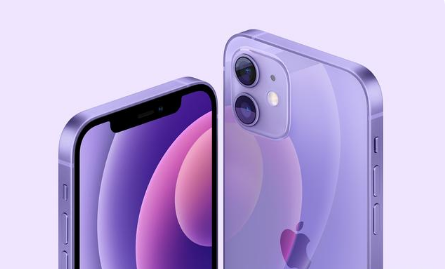 嘉定苹果手机维修分享紫色版iPhone 12有什么技术亮点 