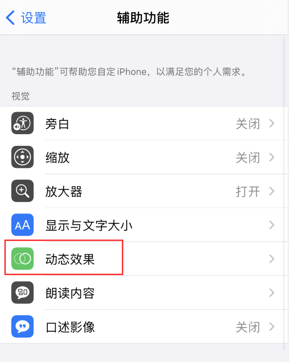 嘉定苹果手机维修分享iPhone 12 退出应用时没有动画显示，如何设置 