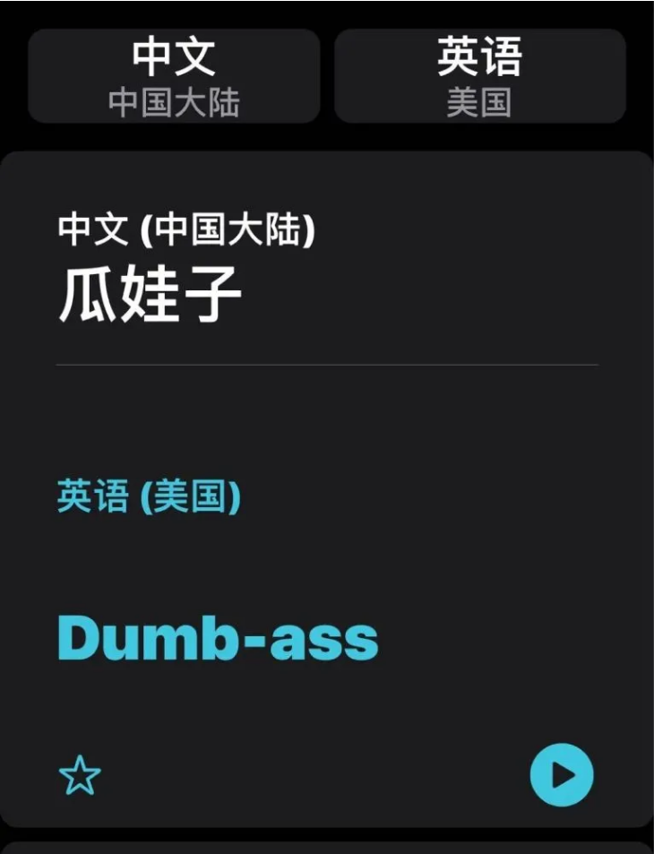 嘉定苹果手机维修分享iOS14的“翻译太懂了”怎么用 