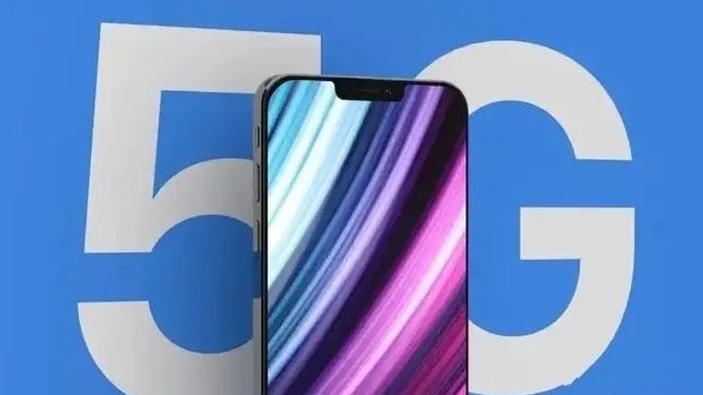 嘉定苹果手机维修分享iPhone12 pro怎么显示5G 