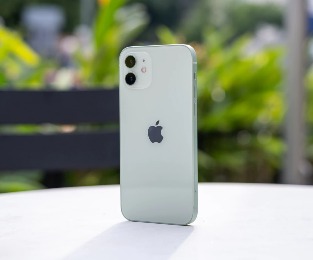 嘉定苹果手机维修分享iPhone 12 不慎落入水中如何处理 